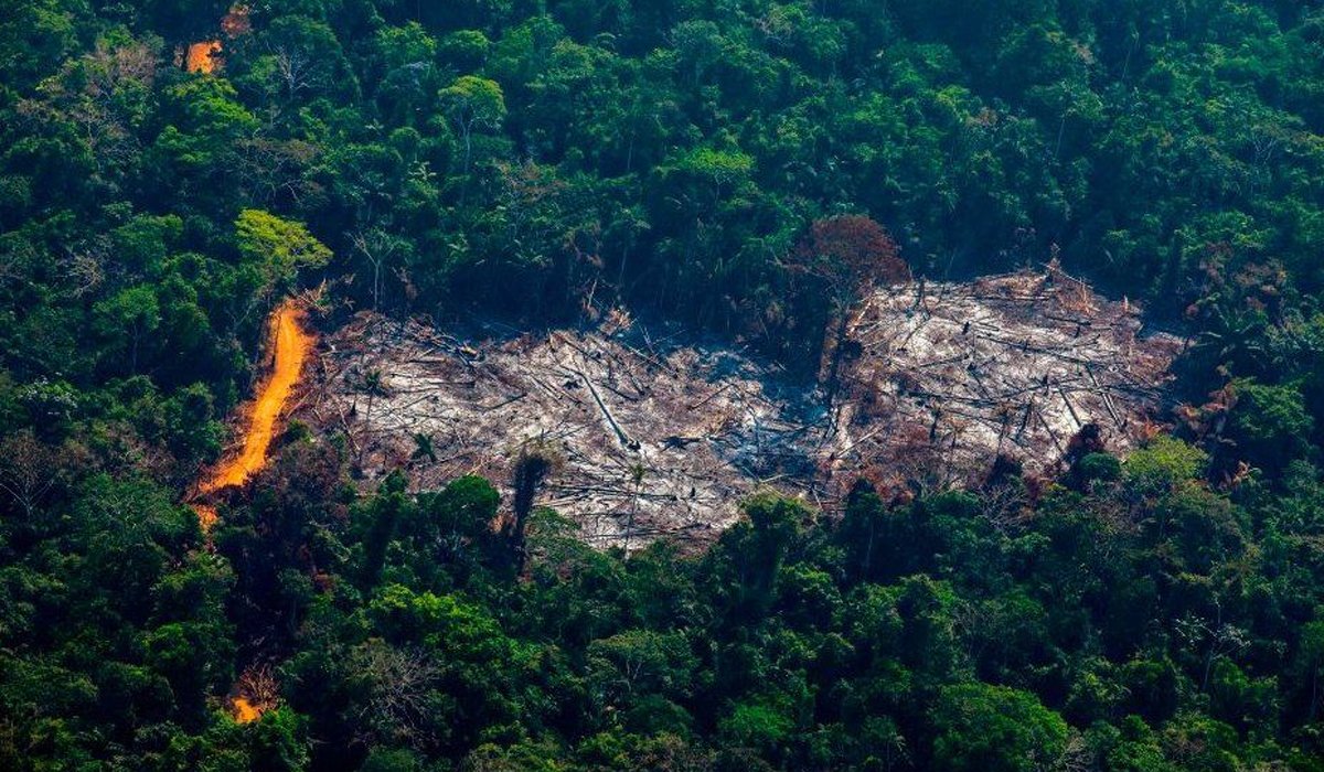 World leaders promise to end deforestation by 2030